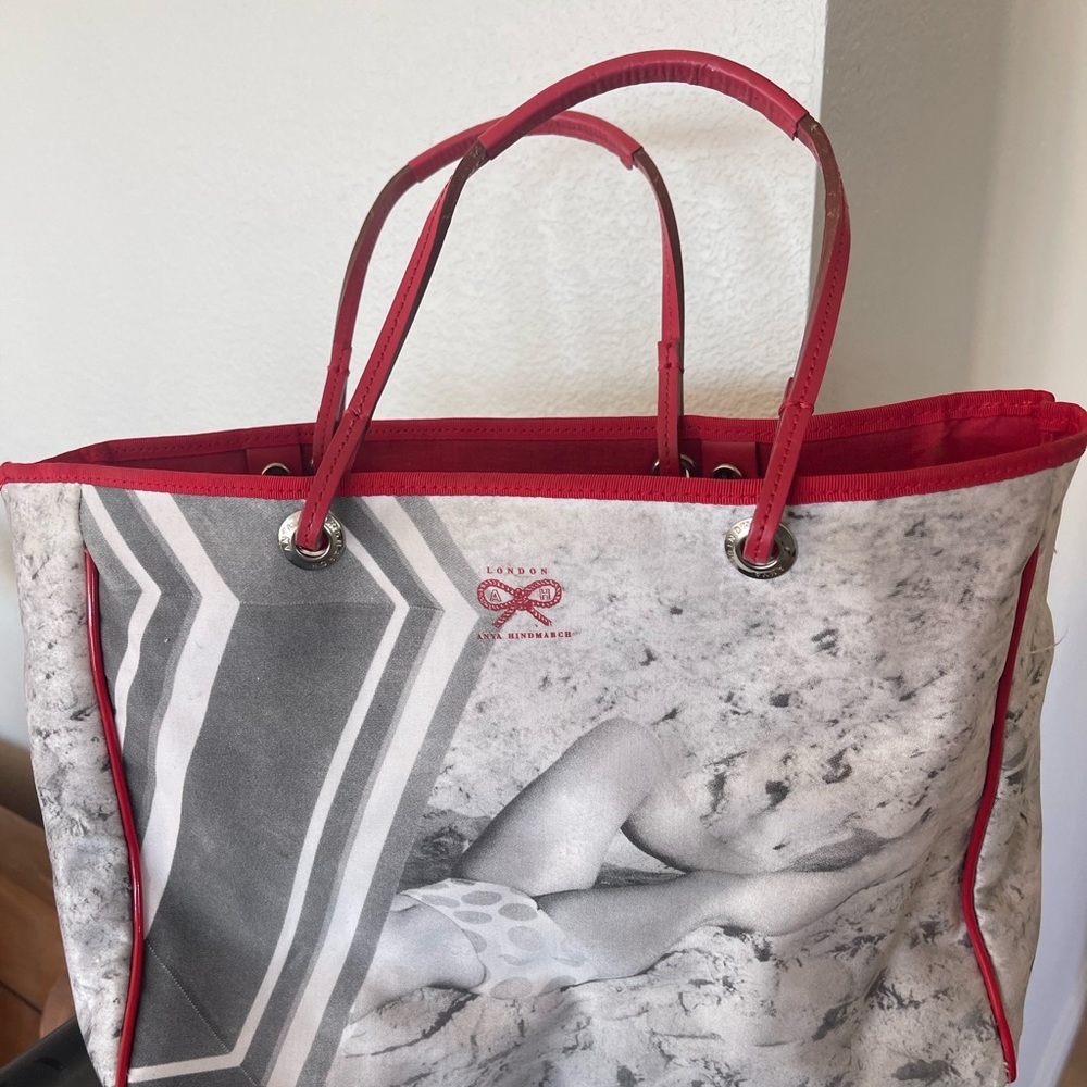 Anya hindmarch canvas bag
